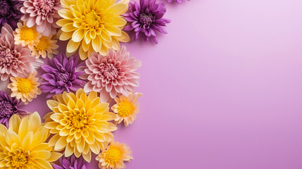 Obraz premium A flat lay of yellow and purple chrysanthemum flowers on a pink background with copy space