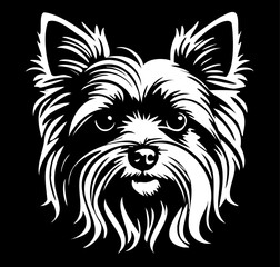 Yorkshire Terrier black and white dog, cutout