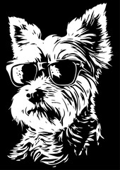 Yorkshire Terrier black and white dog, cutout