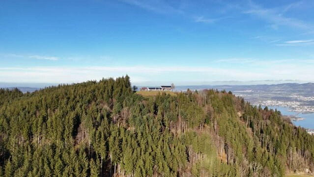 Mountain Etzel green forest landscape reveal view Lake Zurich in Switzerland