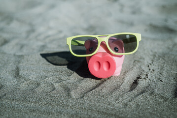 cute little pig on the beach saving for vacations