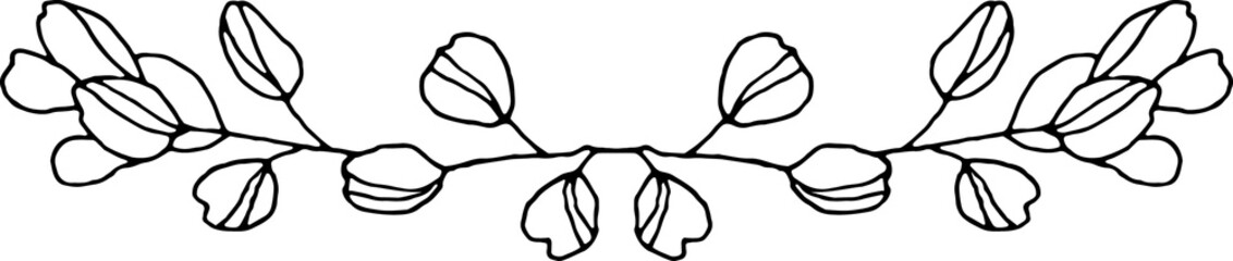 Botanical Floral Branches Line Art Illustration