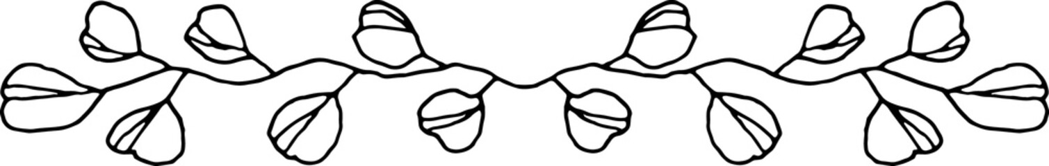 Botanical Floral Branches Line Art Illustration