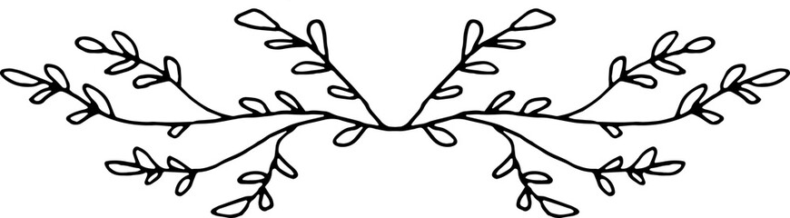 Botanical Floral Branches Line Art Illustration