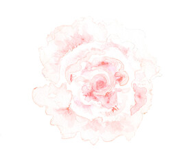 Watercolor Flower Arrangement Illustration