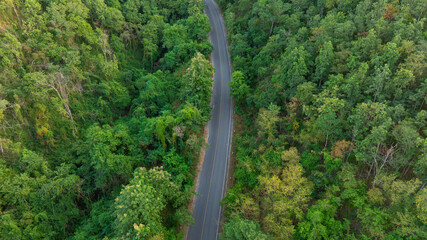 Aerial view of road dark green forest Natural landscape and elevated traffic roads Adventure travel and transportation ideas for the environment	
