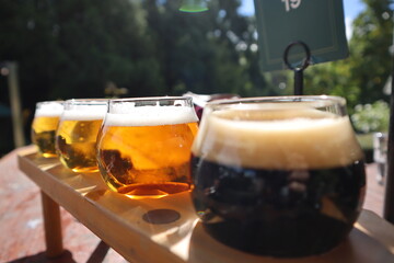 glass of beer on the table