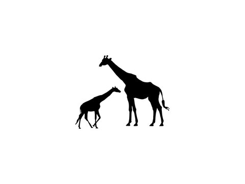giraffe silhouette. giraffe vector art, icon and vector images. giraffe silhouette isolated white background.