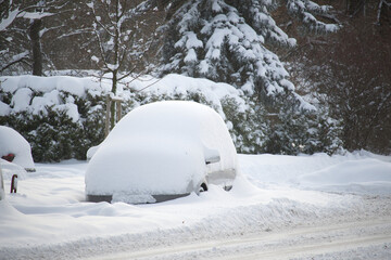 Cars thickly covered in a thick coating of snow