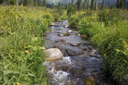 mountain streams in Ergaki natural park, beautiful nature