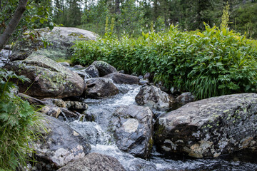 mountain stream flows over large stones