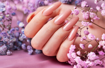 Fototapeta premium Female hands with pink nail design hold gypsophila flowers.