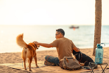 A man owns a dog sits and pet his dog on a mat on the beach and playing with his dog. Animal family...