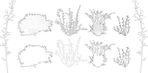 Plant elevation line silhouettes outline - grass, shrub, tree - obrazy, fototapety, plakaty