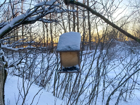 A wooden bird feeder is suspended from a tree branch in a winter forest.  Help the animals in the cold season. Winter Park on a frosty evening.