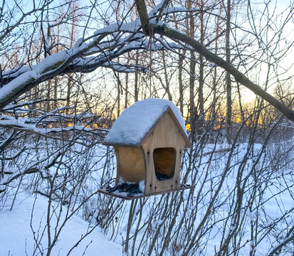 A wooden bird feeder is suspended from a tree branch in a winter forest.  Help the animals in the cold season. Winter Park on a frosty evening.