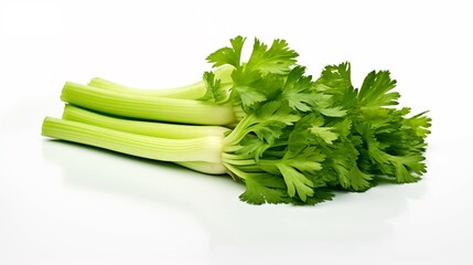 Healthy diet. Vegetables. Green celery leaves on white background. Isolated. 