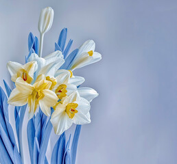 daffodi dreamy and romantic. Mother's day, Valentines Day, Birthday celebration concept. Greeting card. Copy space for text, top view. Generative AI