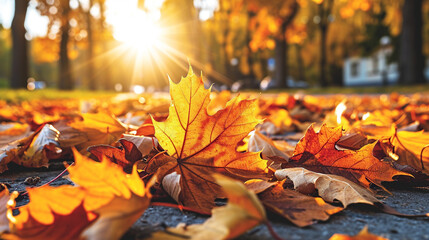 autumn leaves on the ground - obrazy, fototapety, plakaty
