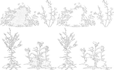 Plant elevation line silhouettes outline - grass, shrub, tree