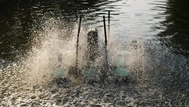 Surface Aerator adding oxygen to water. A view of an electric water turbine machine for increasing oxygen in water.