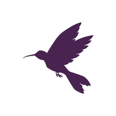 Silhouette of hummingbird, vector illustration isolated on white background