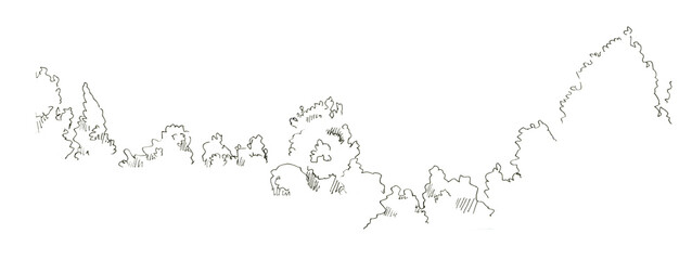 Sketch of young plants, bushes. Urban sketch with a black felt-tip pen, isolated on a white background. - 704798818