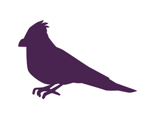 Silhouette of cardinal bird native to North America vector illustration isolated.