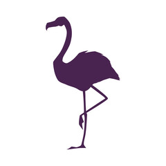 Beautiful flamingo black silhouette, vector exotic flamingo bird with long legs and neck, tropical wild animal outline