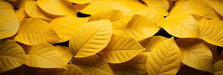 Background of yellow leaves, natural background and wallpaper, Background group of autumn leaves, Generative AI