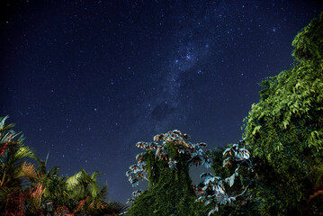 Fototapeta na wymiar A Starry Night Sky over the Trees in the Countryside of Brazil