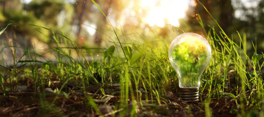 energy and business concept image. Creative idea and innovation. light bulb metaphor in the forest
