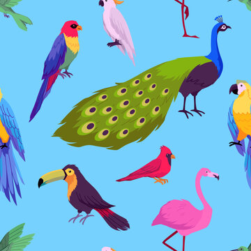 Tropical fauna vector seamless pattern on blue, exotic jungle hummingbird, toucan, Ara parrot, peacock, flamingo birds