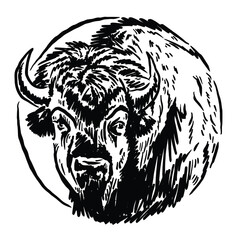 unique bison animal vector icon illustration © Muhammad