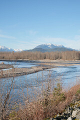 Obraz premium Beautiful view of the Squamish River during a fall season at the Brackendale Eagle Run vista point in Squamish, British Columbia, Canada
