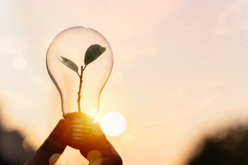 A person is holding a light bulb with a plant growing out of it. The person is standing in front of...