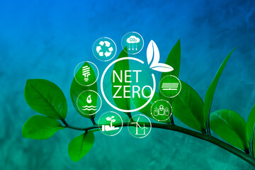 Net-zero symbol on a branch, plant branch. Green leaves and net-zero symbol. Environmental sustainability symbol on a plant.