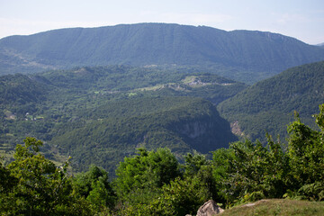 Fototapeta premium Beautiful leafy landscape in a mountainous area with a tropical climate.