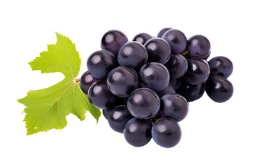 A Cluster of Black Grapes on a Stem Isolated on Transparent Background PNG.