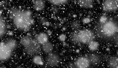 Falling white snow on a black background. Snowfall concept. Snow background. Animated video.