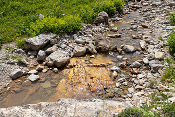 Walking along the bed of a mountain river in a natural park, during the flowering of plants and warm weather.