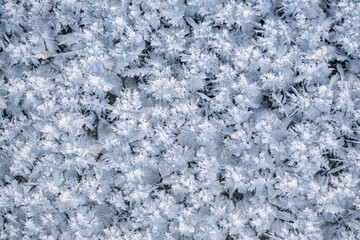 Ice crystals on the ground in winter. Abstract background and texture for design.