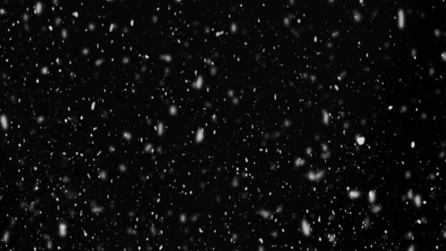 Falling white snow on a black background. Snowfall concept. Snow background. Animated video.