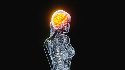 Abstract woman walking with the brain highlighted