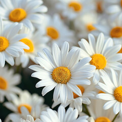 Obraz premium Daisies flower background wallpaper, ai technology