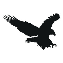Fototapeta premium World Wildlife Eagle Silhouettes