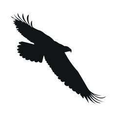 World Wildlife Eagle Silhouettes