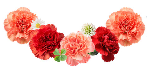 mother's day carnation arrangement
