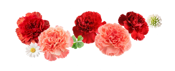 mother's day carnation arrangement
