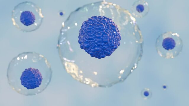 3d animation of a group of stem cells, which are unspecialized cells that can develop into different types of cells. The stem cells are shown as spheres with nuclei